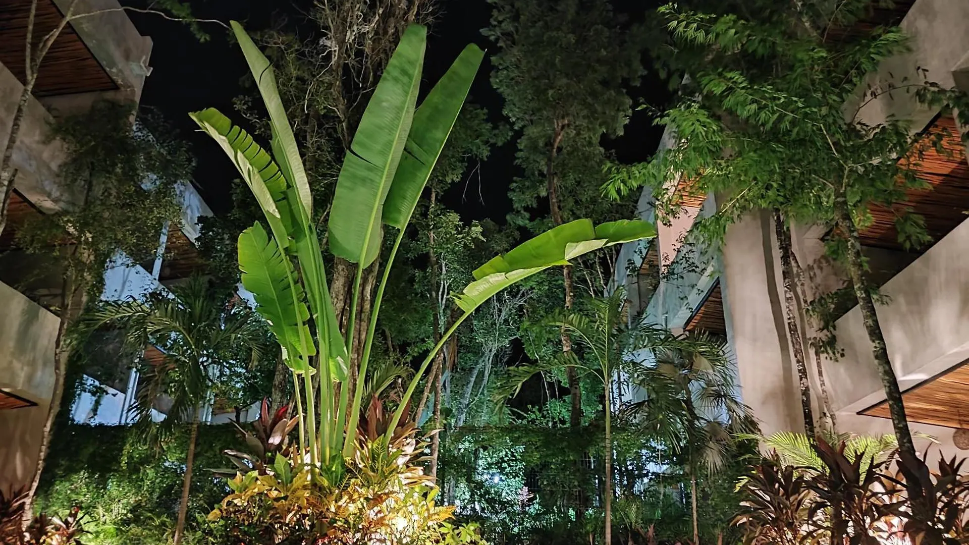 טולום In Harmony With Nature